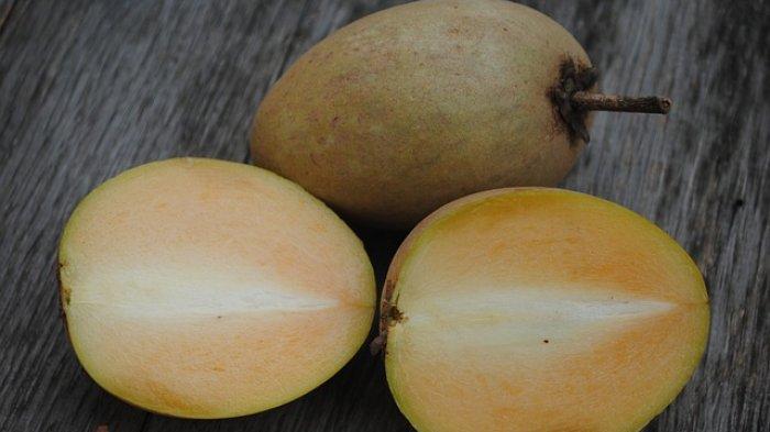 buah sawo