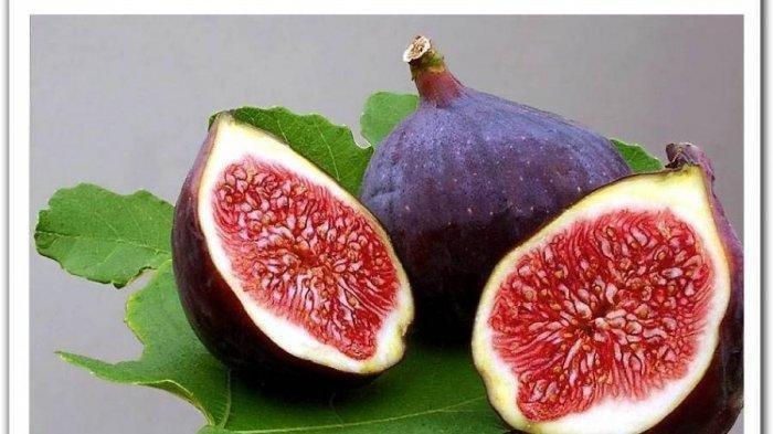 buah tin 2