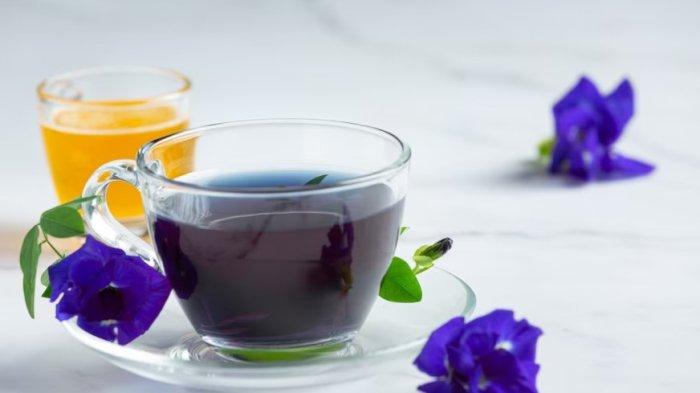 manfaat air seduhan bunga telang untuk kesehatan