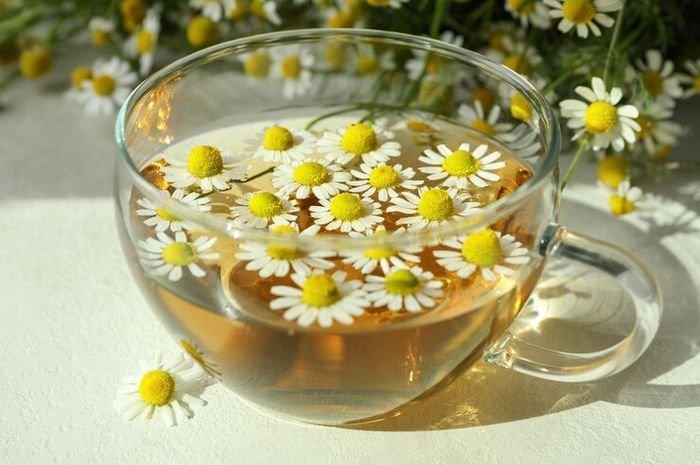 manfaat teh chamomile untuk kesehatan