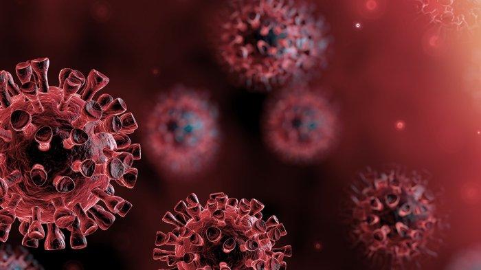 ilustrasi virus HMPV, berikut seputar mitos mengenai HMPV yang perlu diluruskan