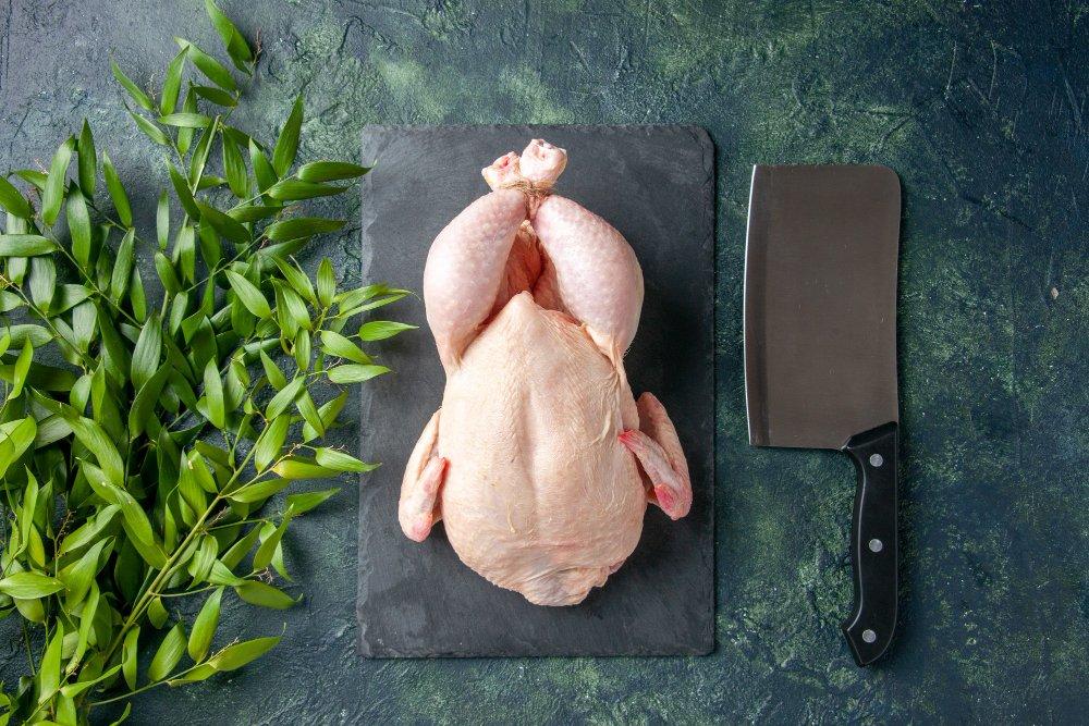 ilustrasi daging ayam