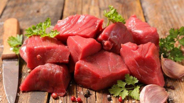 ilustrasi daging merah