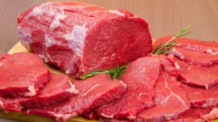 ilustrasi daging merah