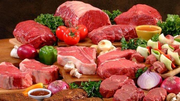 ilustrasi daging merah