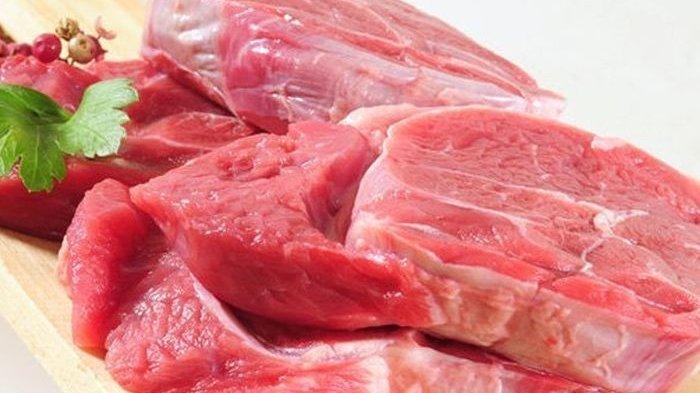 ilustrasi daging merah