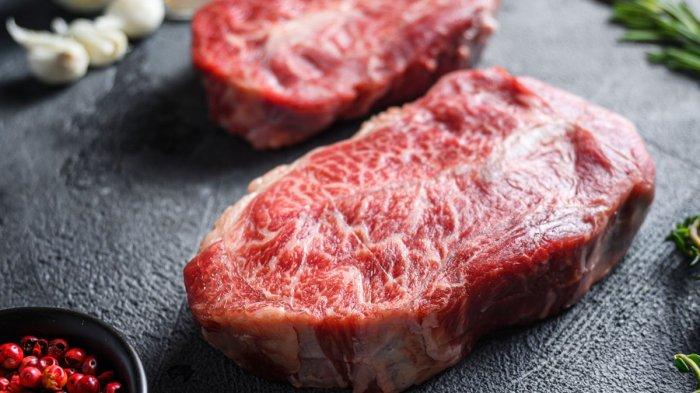 ilustrasi daging sapi