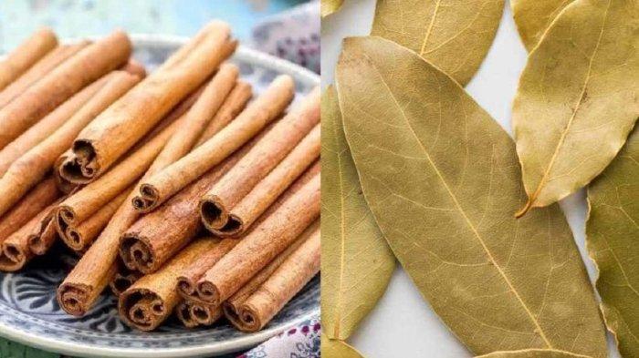 manfaat ramuan herbal kayu manis dan daun salam untuk penderita diabetes