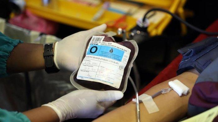 ilustrasi seseorang yang melakukan donor darah, berikut manfaat baik dari donor darah untuk kesehatan tubuh