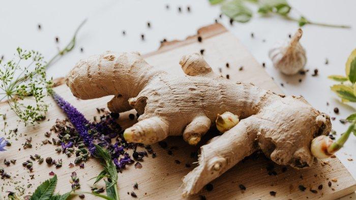 FOTO HANYA ILUSTRASI - dr. Zaidul Akbar bagikan resep herbal dari jahe dan minyak zaitun