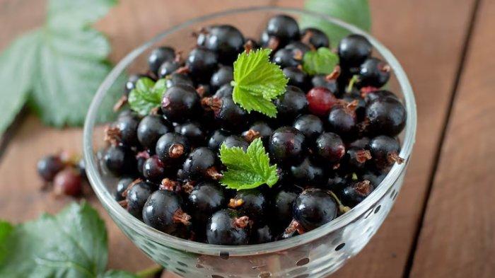 Ilustrasi buah elderberry, makanan berwarna ungu yang memberikan banyak manfaat