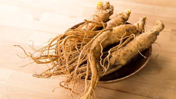 Ilustrasi ginseng