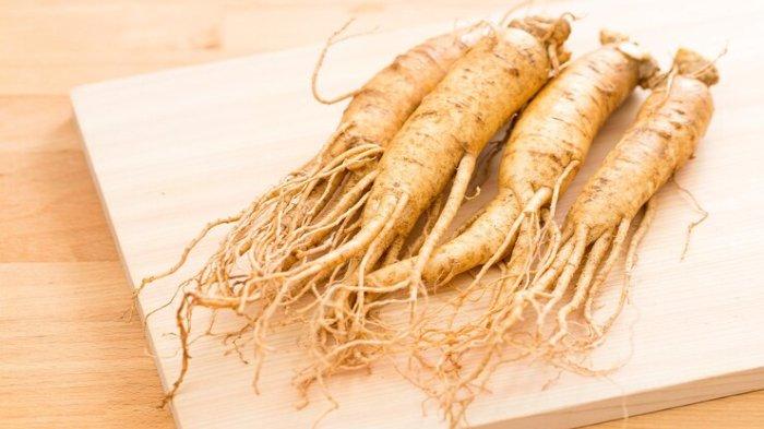 Ilustrasi ginseng