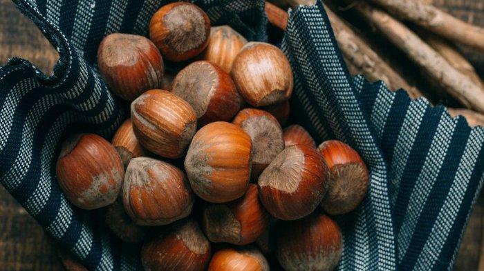 Ilustrasi hazelnut, berikut manfaat dari mengonsumsi kacang hazelnut