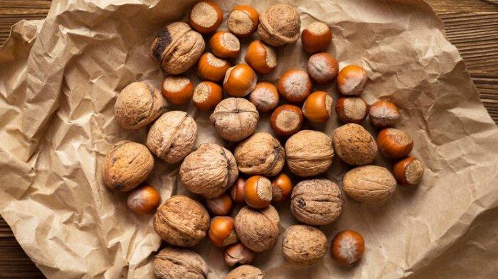 Ilustrasi hazelnut, salah satu kacang berprotein tinggi yang bantu mengelola kadar gula darah