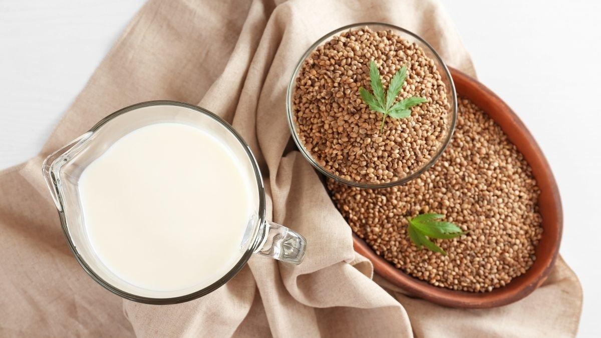 hemp milk