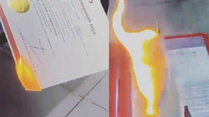 Ijazah S1 yang dibakar Rebecca