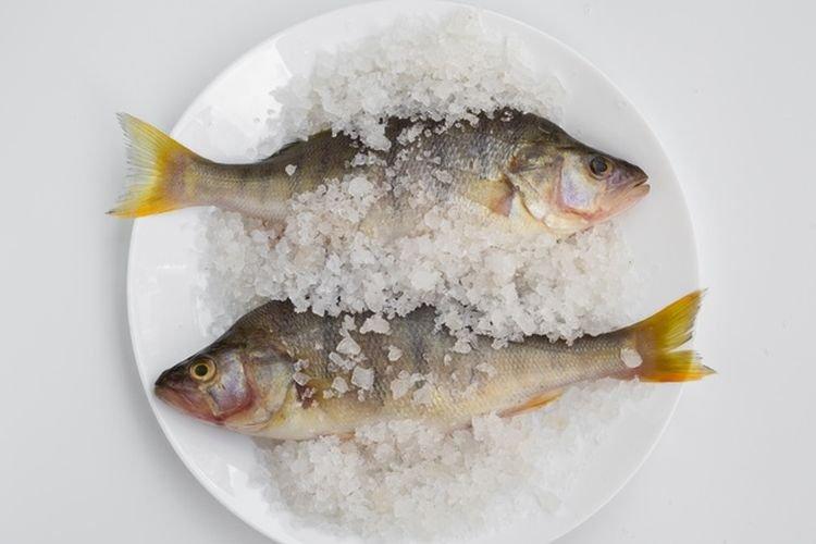 ilustrasi ikan asin