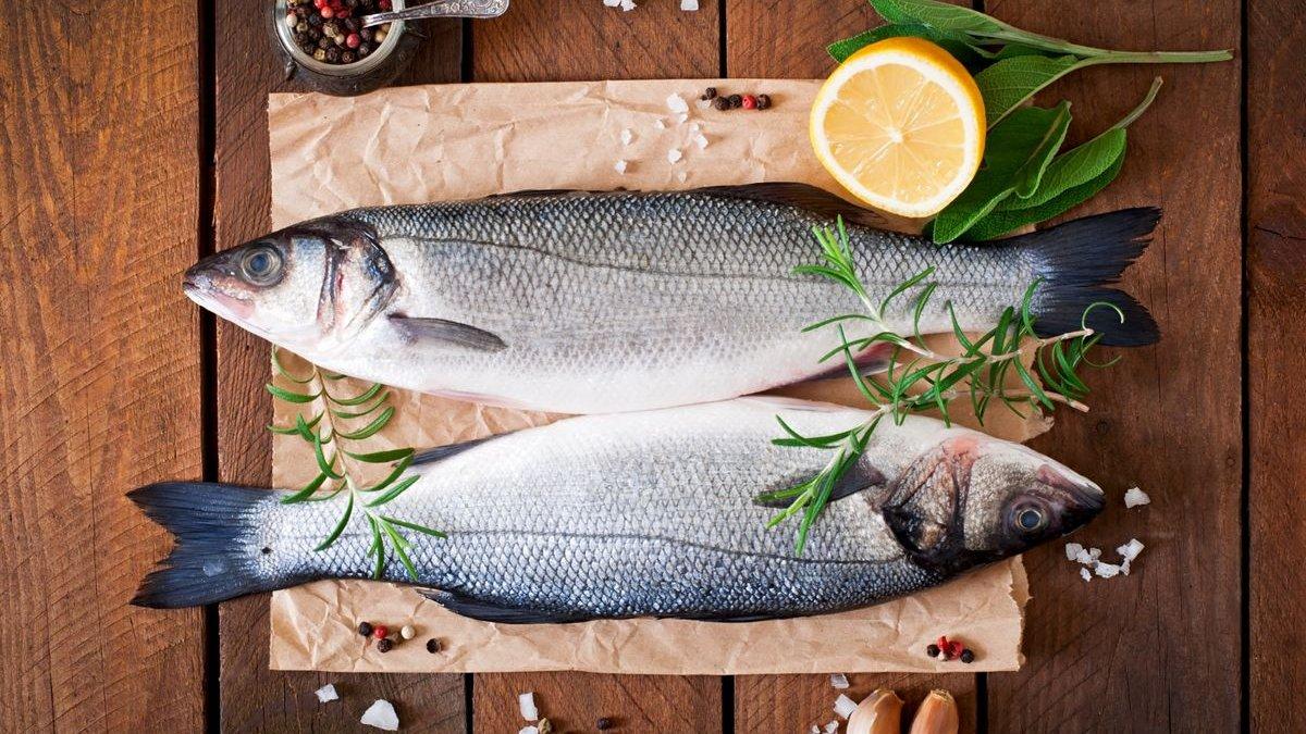 ilustrasi ikan bandeng