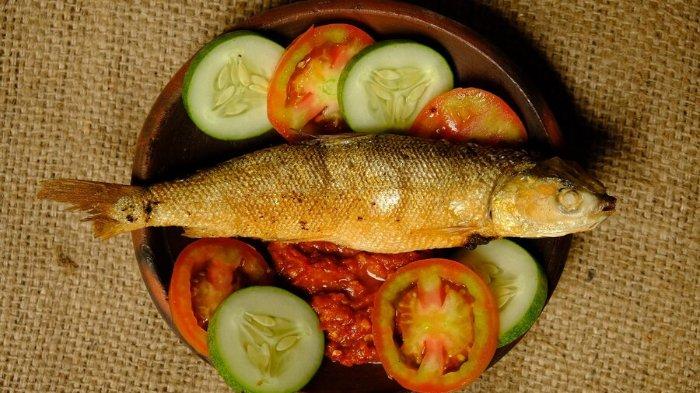 Ilustrasi ikan bandeng, ikan yang bagus untuk menu MPASI si kecil