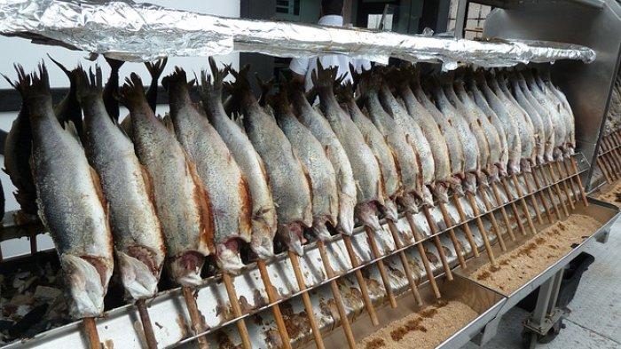ikan cod