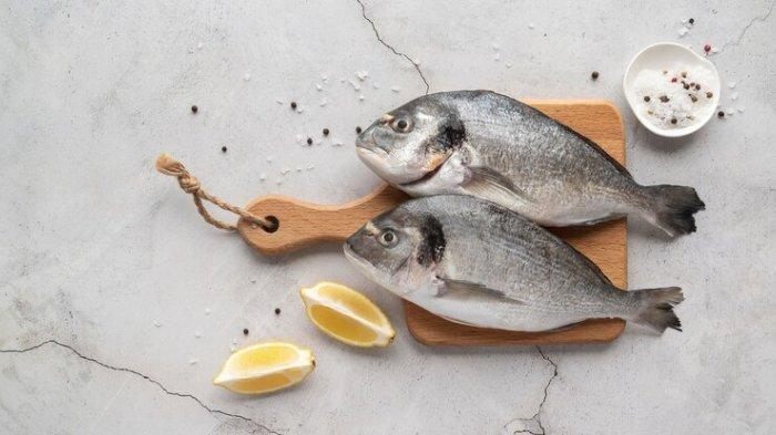 Ilustrasi ikan laut