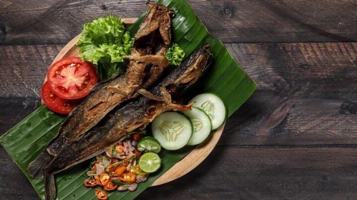 Ilustrasi ikan lele, berikut ini manfaat ikan lele untuk anak-anak