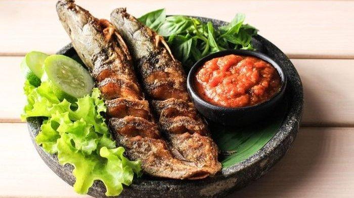 Ilustrasi ikan lele, berikut manfaat konsumsi ikan lele