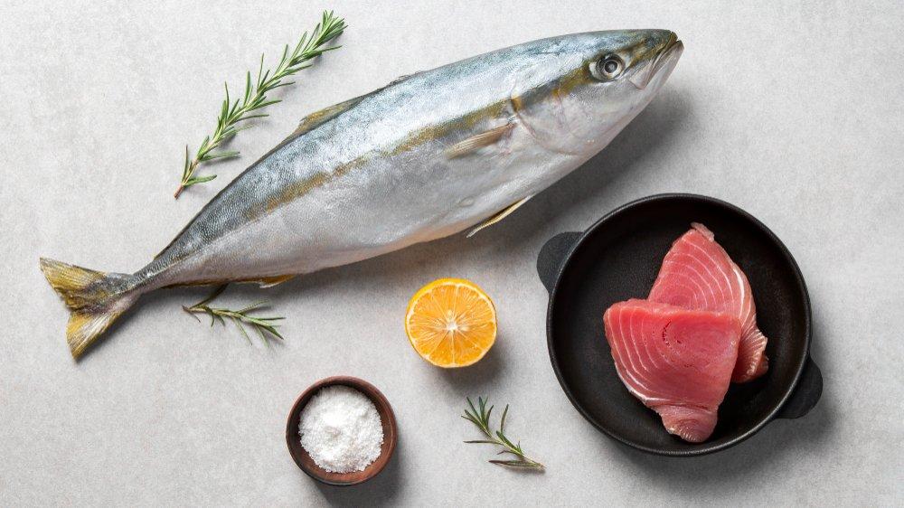 ilustrasi ikan tuna, ikan yang bagus untuk menu MPASI si kecil