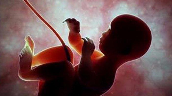Ilustrasi bayi di dalam kandungan yang dilindungi air ketuban