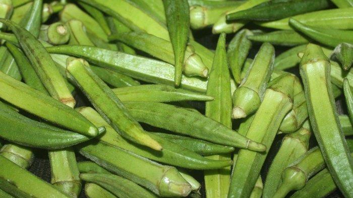 Ilustrasi bendi atau okra bisa menurunkan kadar gula darah