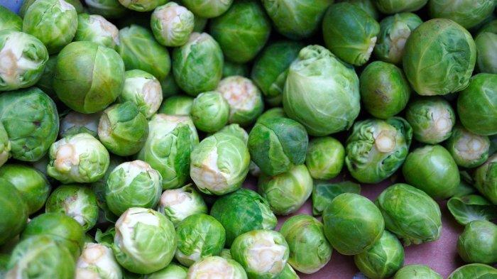 Ilustrasi - Brussel sprout atau kubis brussel