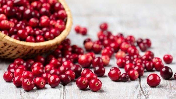 Ilustrasi buah cranberry