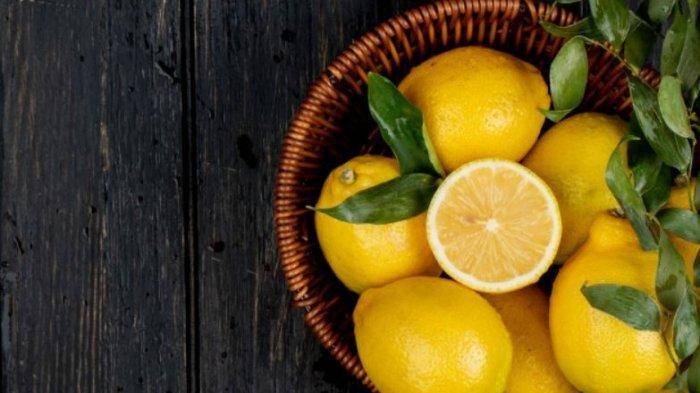 Ilustrasi buah lemon segar