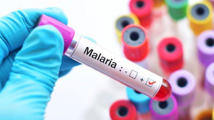 Ilustrasi diagnosis penyakit malaria