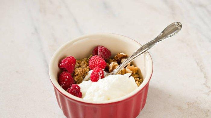 Ilustrasi greek yogurt