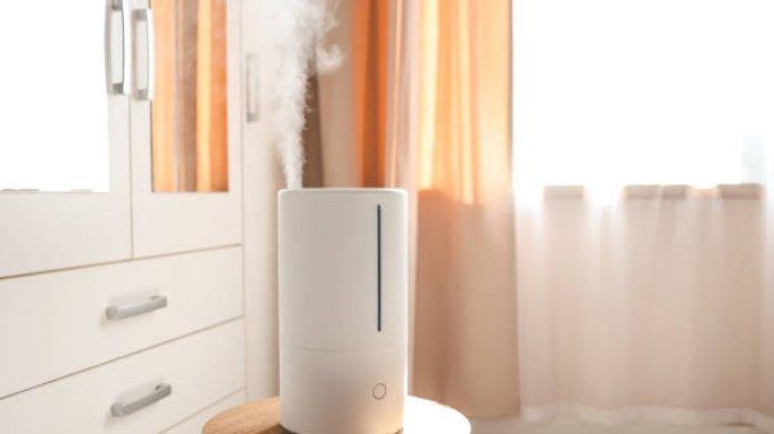 Ilustrasi humidifier