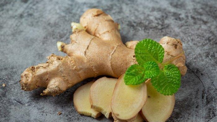 Ilustrasi jahe, berikut ini kondisi tubuh yang tidak dianjurkan untuk mengonsumsi minuman jahe
