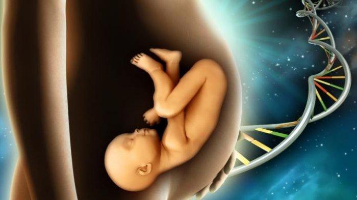 Ilustrasi keberhasilan bayi tabung