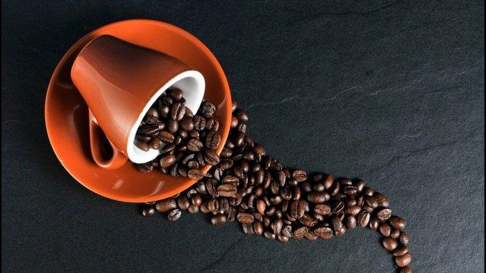 Ilustrasi kopi 