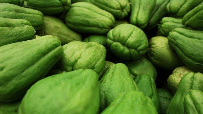 Ilustrasi labu siam atau jipang