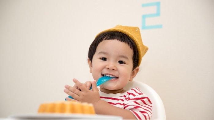 Ilustrasi makanan pendamping ASI (MPASI)