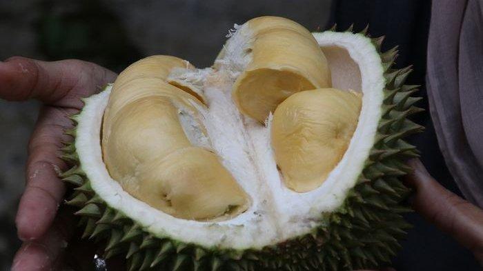 Ilustrasi manfaat buah durian