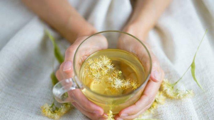 Ilustrasi minum teh herbal