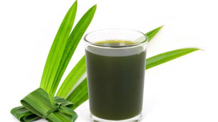 Ilustrasi minuman daun pandan