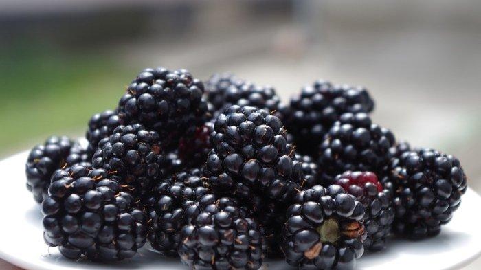 Ilustrasi blackberry, buah yang baik dikonsumsi penderita pra diabetes dan diabetes
