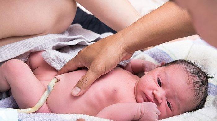 Ilustrasi penggunaan tali pusat untuk perawatan kecantikan