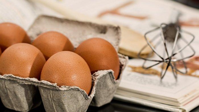 Ilustrasi telur ayam,bagus untuk memenuhi kebutuhan gizi anak