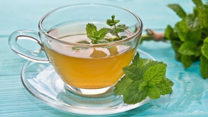 Ilustrasi teh peppermint, minuman yang bagus untuk kesehatan usus