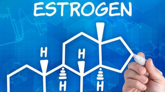 Ilustrasi perbaikan hormon estrogen agar meningkat
